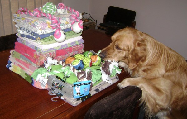 Matilda doing a quality assessment!